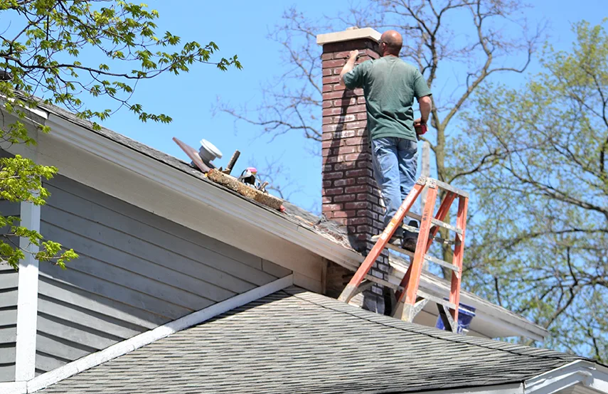 Chimney & Fireplace Inspections Services in Harvey, IL